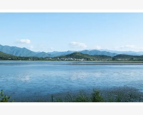 一岁宝宝润肺化痰食谱：打造健康呼吸系统